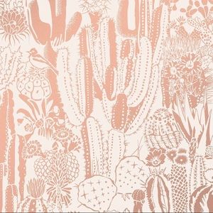 Meet your Posher, Dayrelis